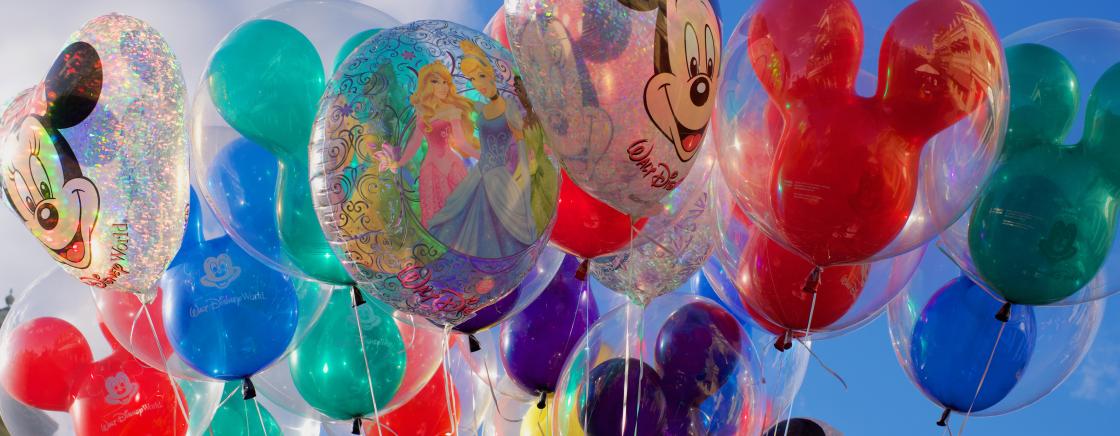 DISNEYLAND PARIS